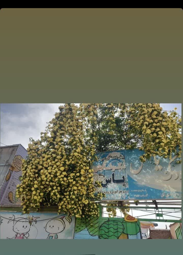 تصویر مقاله